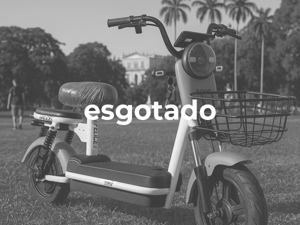 Moto Elétrica Fellice